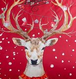 Baumwollbettwäsche Homa LEIBA RED DEER 3-teiliges Set 140x200 cm